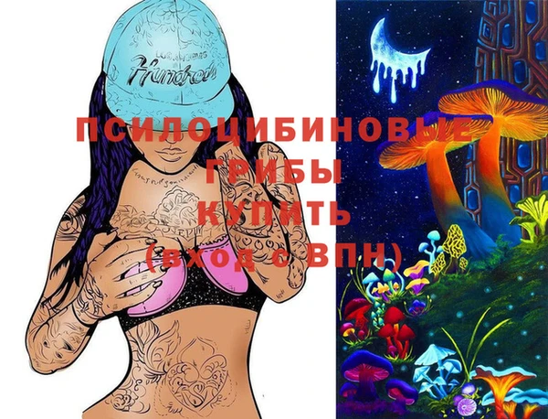 spice Алексин