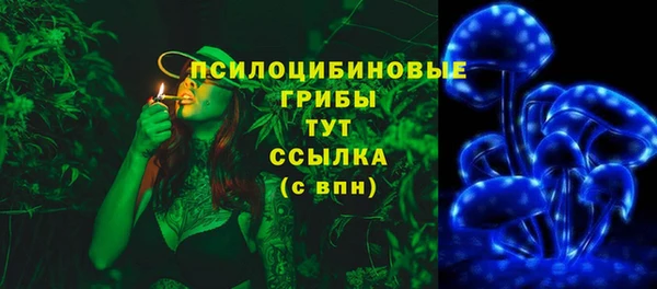 spice Алексин
