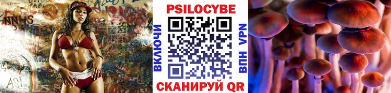 Псилоцибиновые грибы Psilocybe Пикалёво